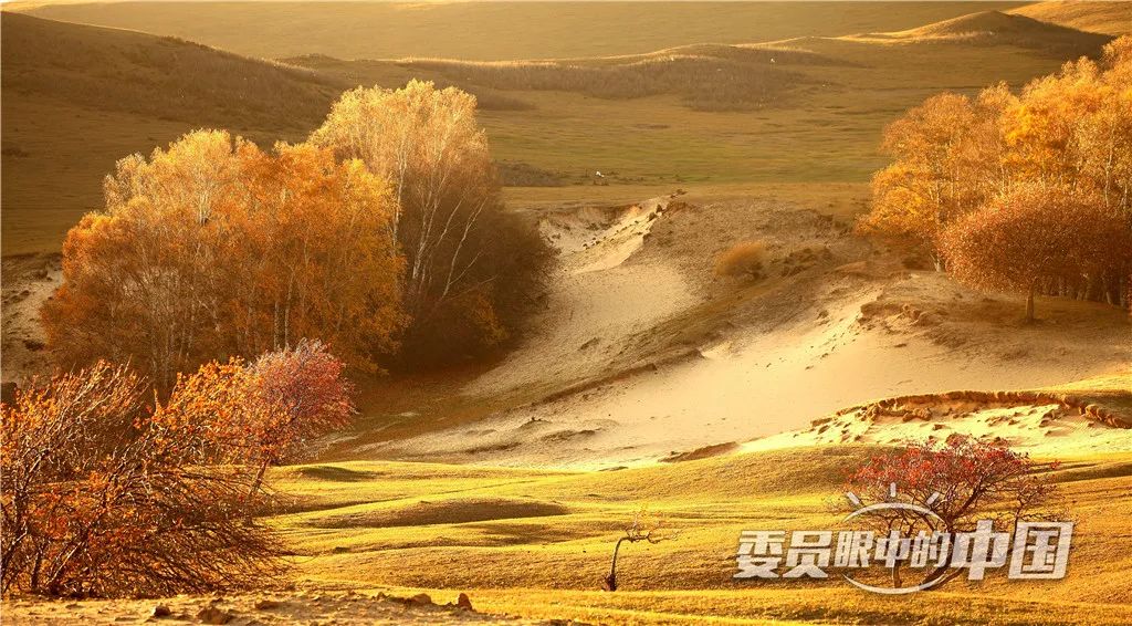 美丽中国中国篇,美丽中国双碳有我主题范文800字