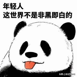 董法|奇妙的一天