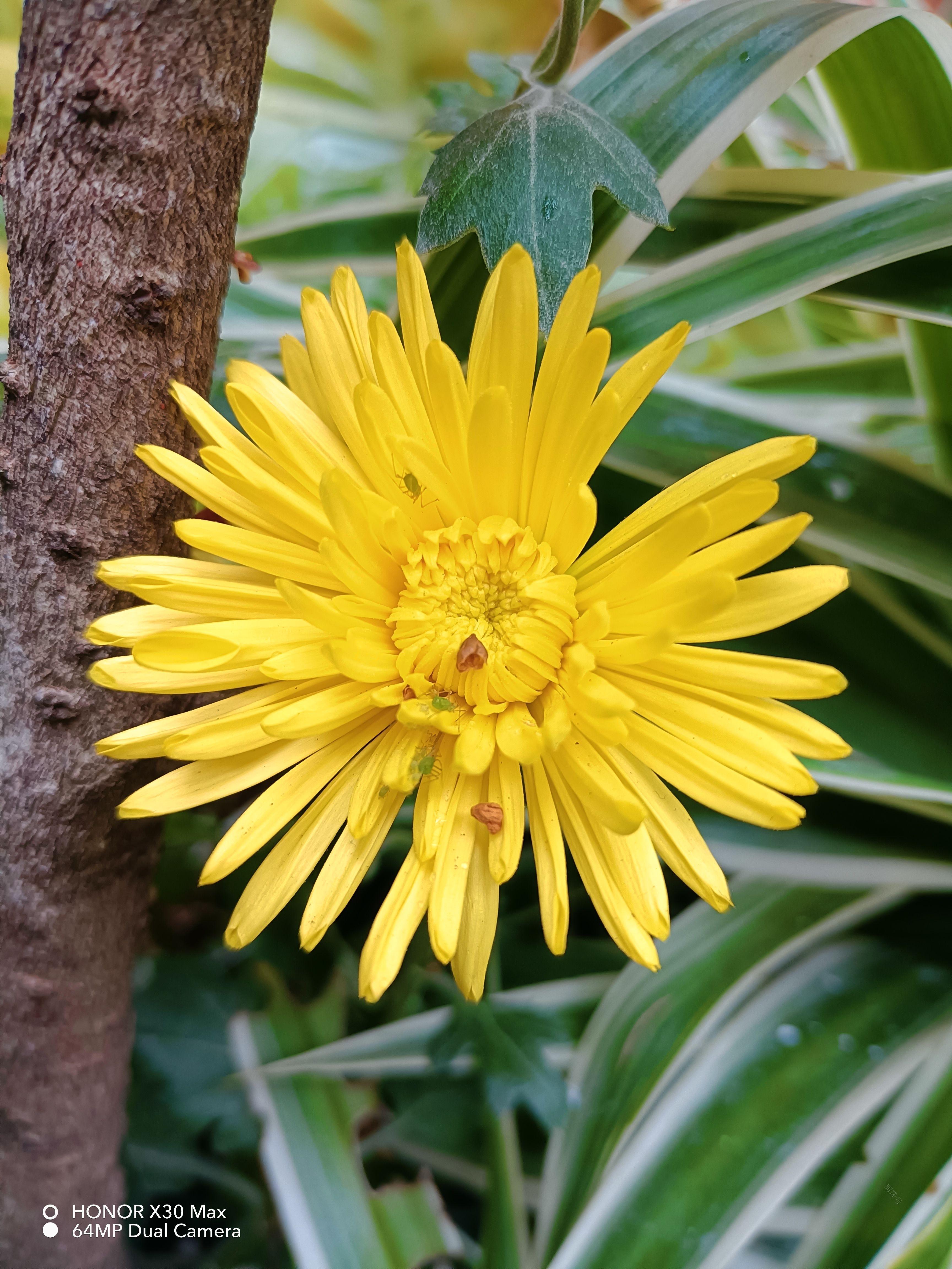 荣耀x30max60w超级快充,荣耀X30MAX深度评测