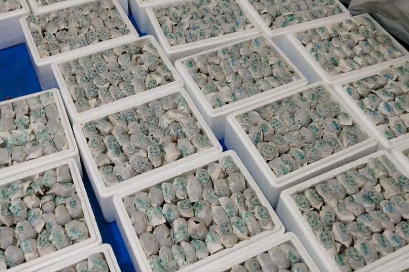 大樱桃裂果病防治,大樱桃树裂果怎么治