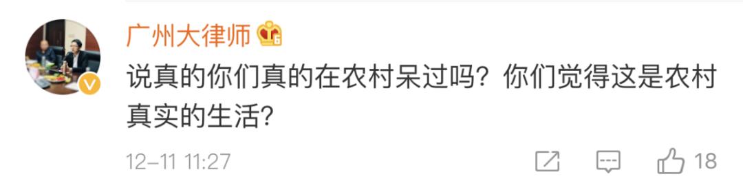 被央视点赞的李子柒算什么文化,李子柒被央视点赞