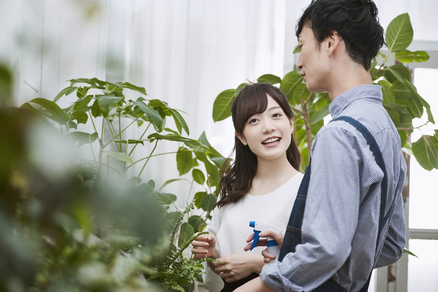 花店经营创业项目,花店创业可以做什么项目