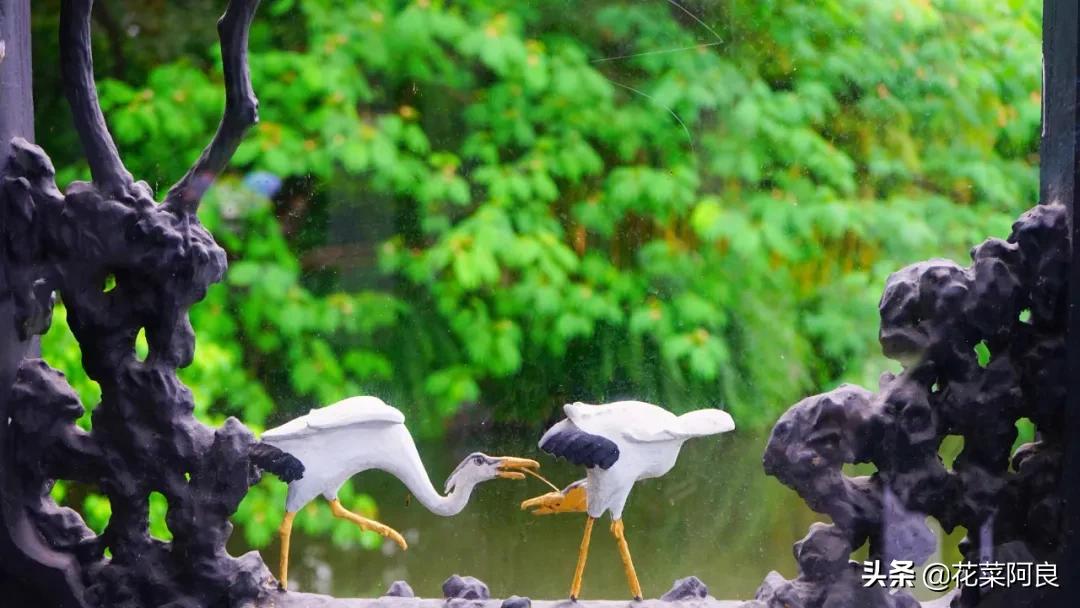 江南最忆是杭州,江南好最忆是杭州朗读