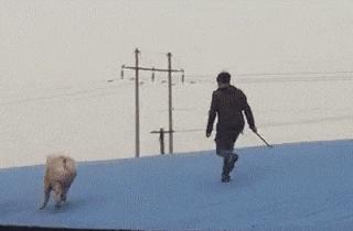 搞笑gif嫂子包饺子,搞笑gif姑娘你这次真的是玩过头了