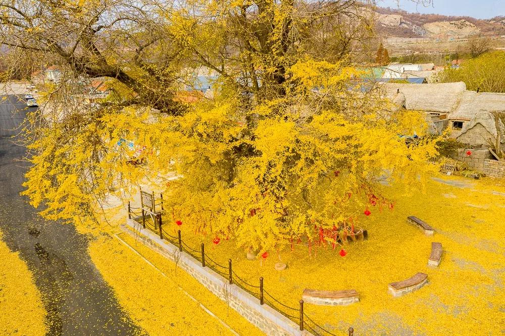 石岛停暖时间,石岛近期新闻