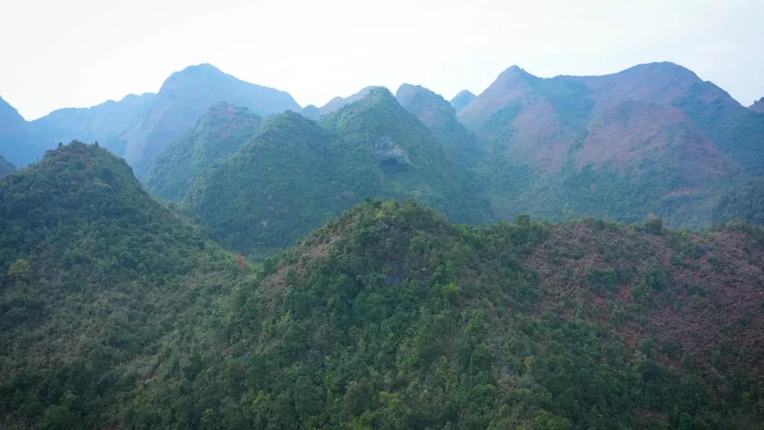 党史百年天天读电子版,党史百年天天讲