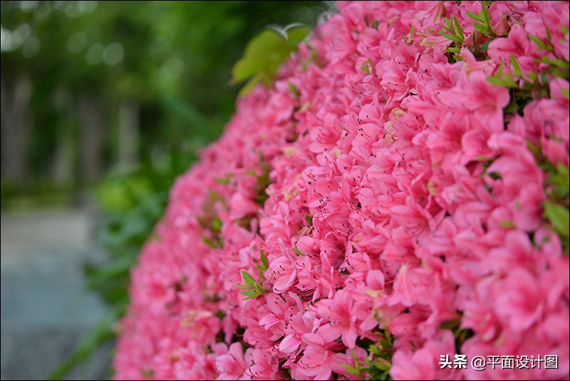 图丽80-400镜头防抖,图丽80-200f2.8有防抖吗