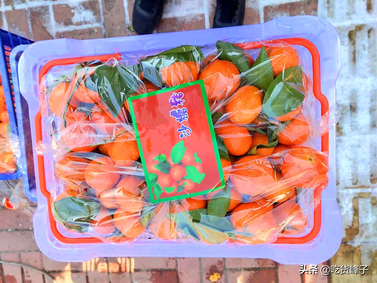 砂糖橘怎么选才是最甜的,买砂糖桔的注意事项