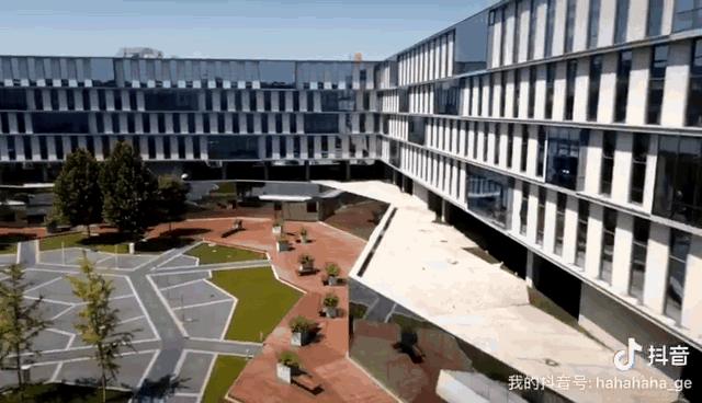 2019GE暑期管培实习生生存实录