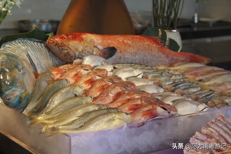 绂忓窞椤剁骇鑷姪缇庨,绂忓窞鑷姪鎺ㄨ崘蹇呭悆