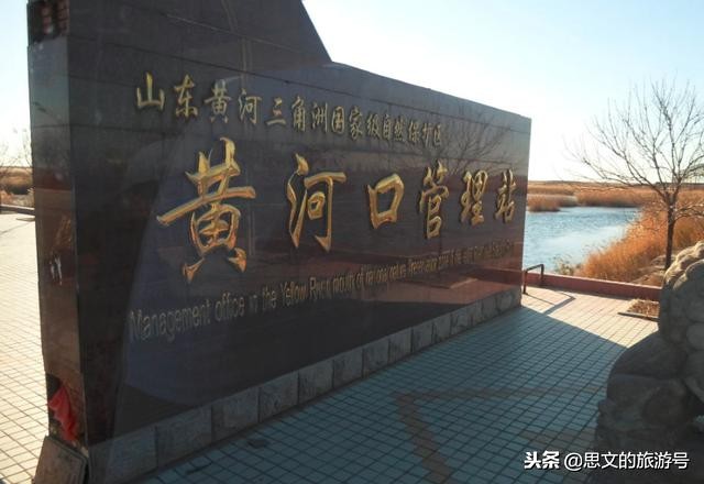 东营黄河入海口风景图,东营黄河入海口壮观