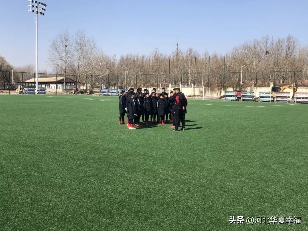 幸福小将陶强龙,吹响青训最强集结号