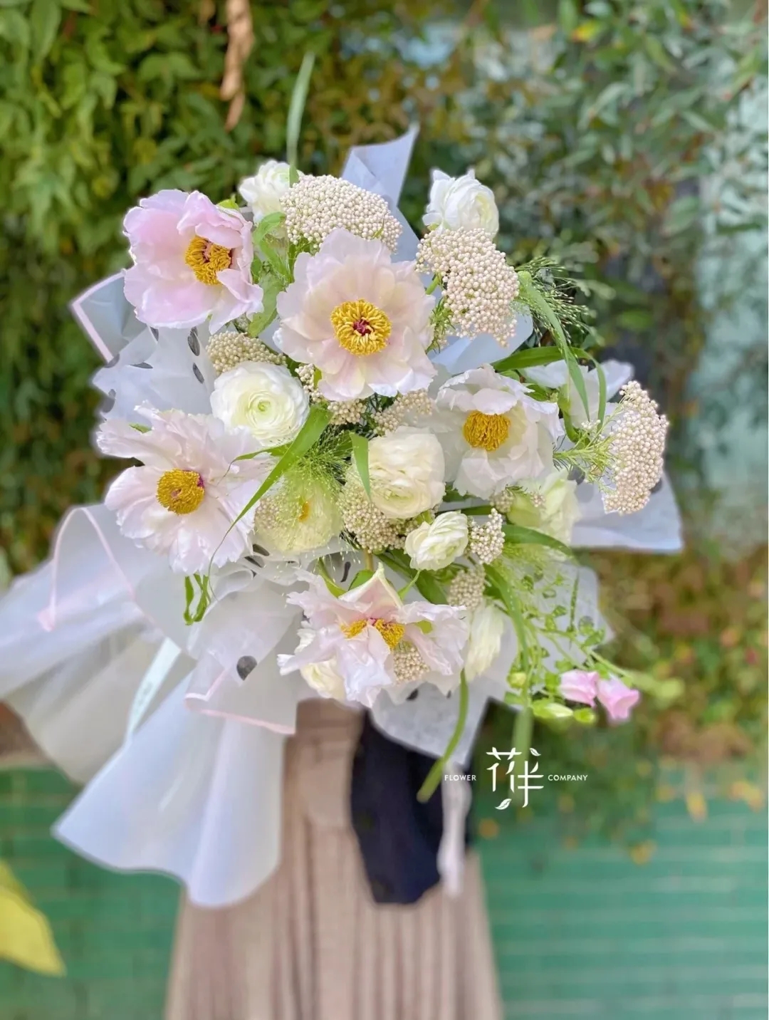 植库‖跟随仙气飘飘的油牡丹，追寻春天的步伐