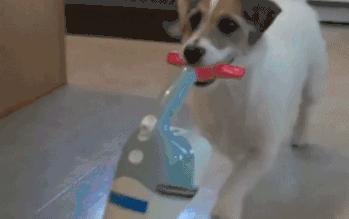 吃什么可以让代谢变快,吃什么可以使代谢变快