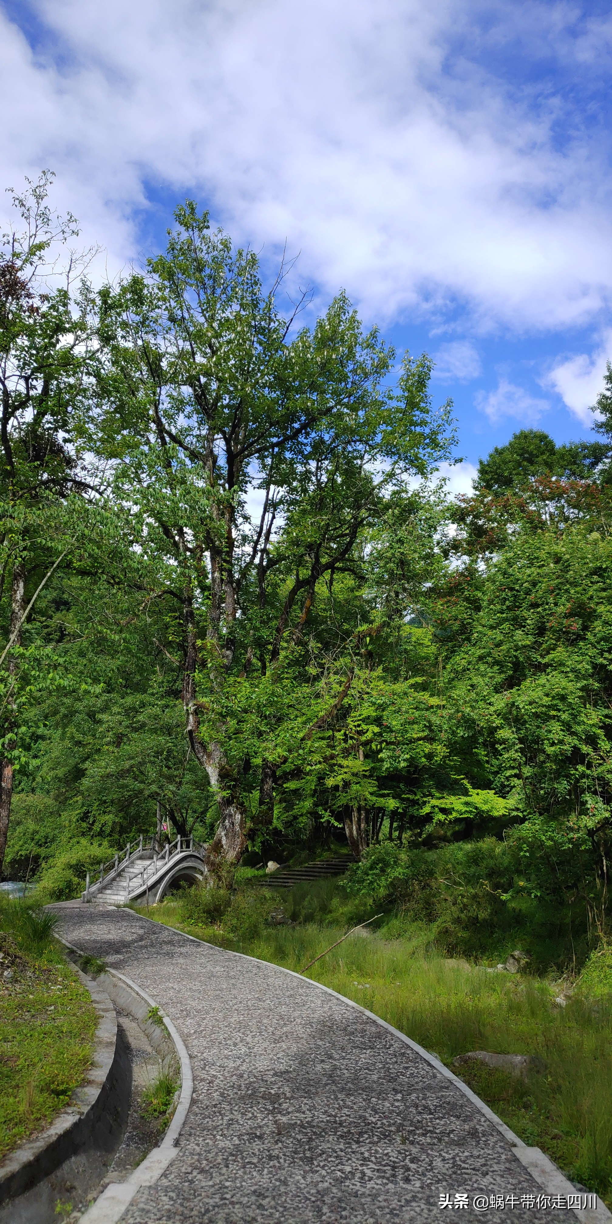 一家三口重庆到拉萨旅游攻略预算,一家三口成都去拉萨大概要多少钱