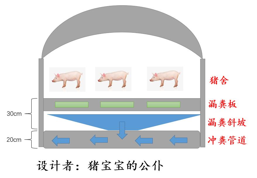 中小型养猪场的粪尿处理系统改造，老养猪户2幅图教你巧用漏粪板