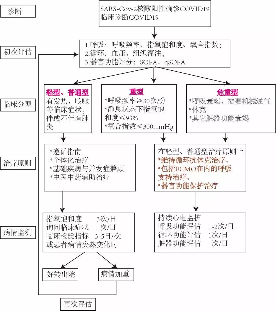 新型冠状病毒2019-ncov怎么治疗,2019年冠状病毒病