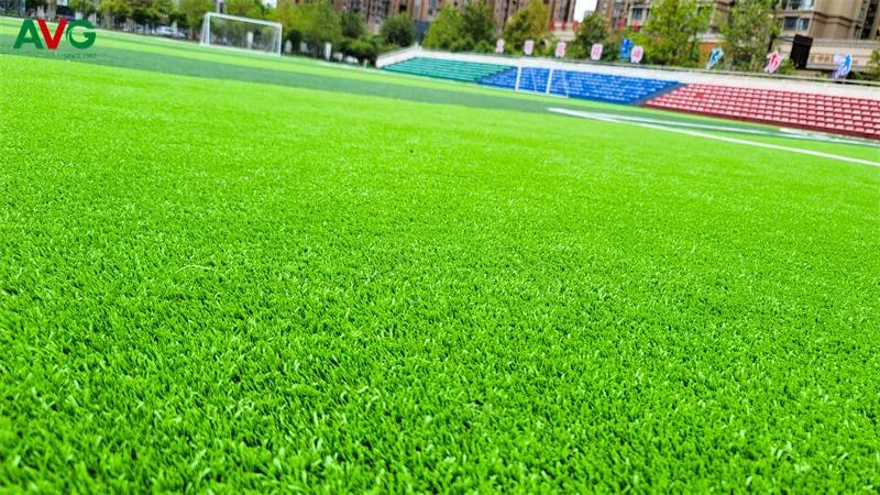 五星小学教学质量,五星小学