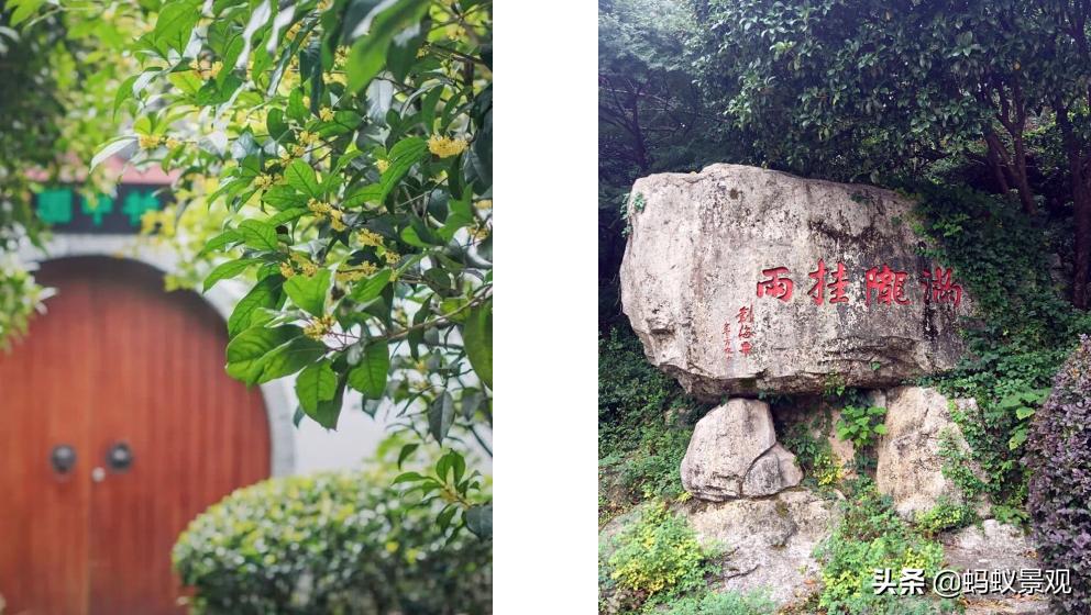 陈从周的园林作品有哪些,陈从周中国园林风格