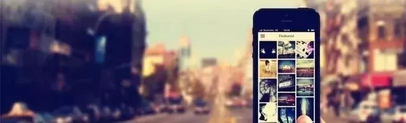 2020最赚钱农业项目,6个适合农村赚钱致富的好项目