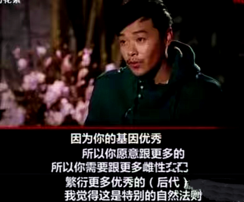 陈思诚情史大揭秘,风流才子陈思诚的上位史