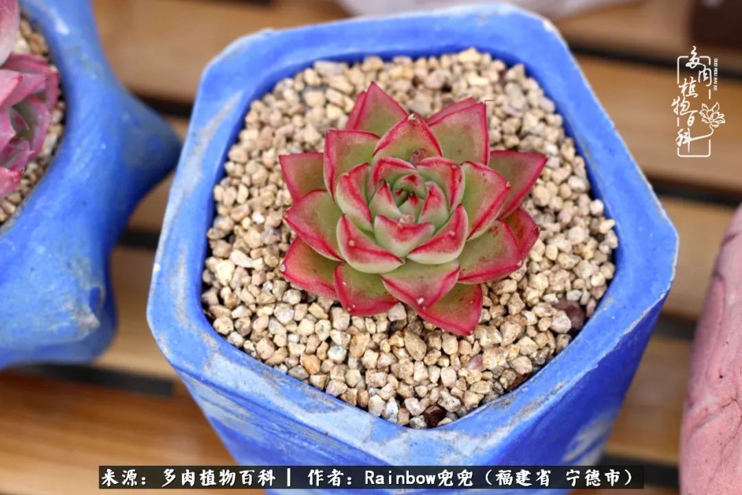 岁月无波澜余生不悲欢是啥意思,愿你岁月无波澜敬我余生无悲欢