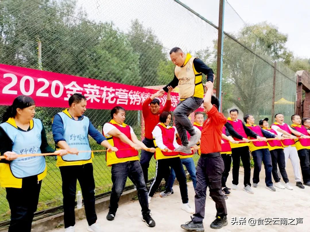 金丰汇聚，共创未来——2020“金菜花”营销精英训练营（第二期）圆满闭营