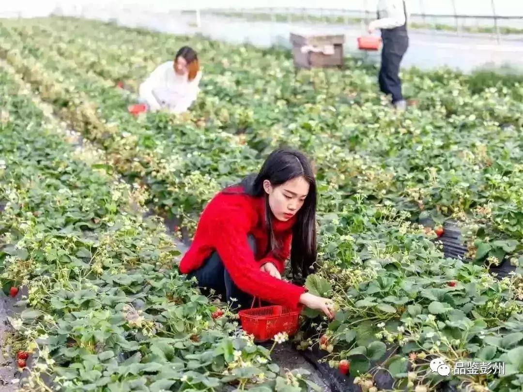 铅山县葛仙山,去葛仙山攻略