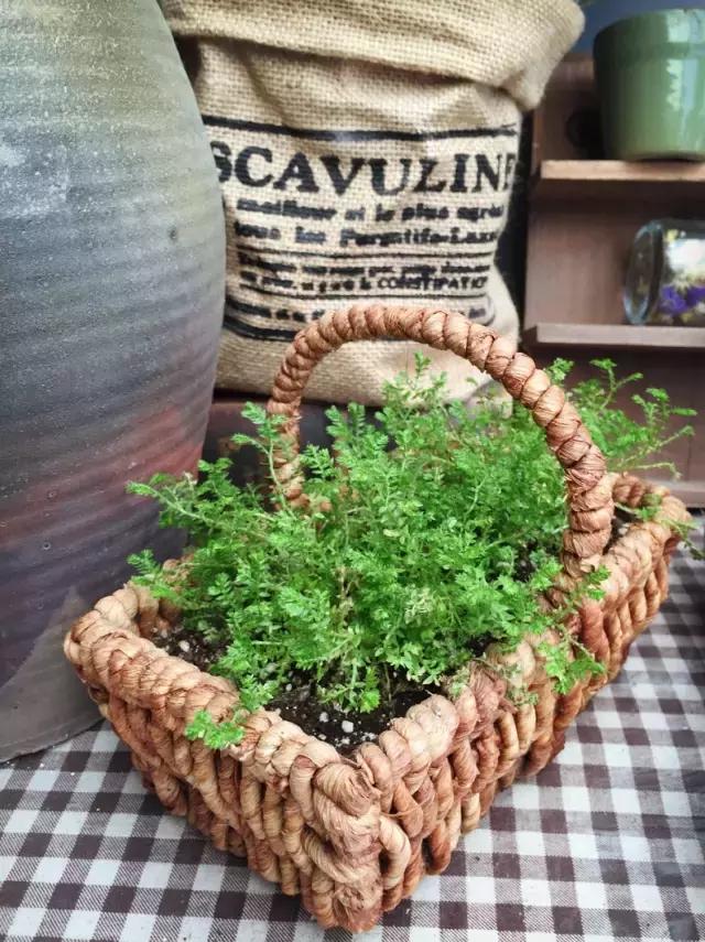 平房小户型房屋改造,40平出租房改造图片