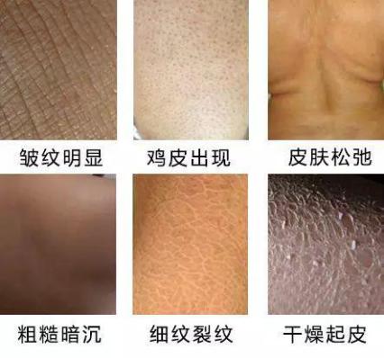 澳大利亚财政部长首推品牌,进国后让柳岩薇娅同时着迷,太疯狂了