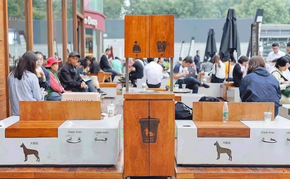 宠物比人吃得好,宠物比人金贵系列