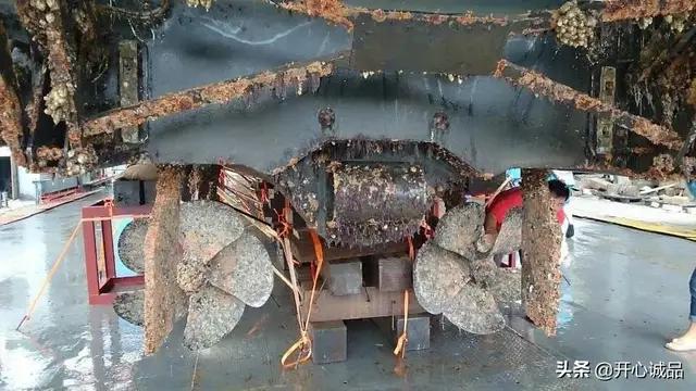 极限工作之船底清洁：虽说大船底能刮好几十吨海鲜，你敢去吃吗？