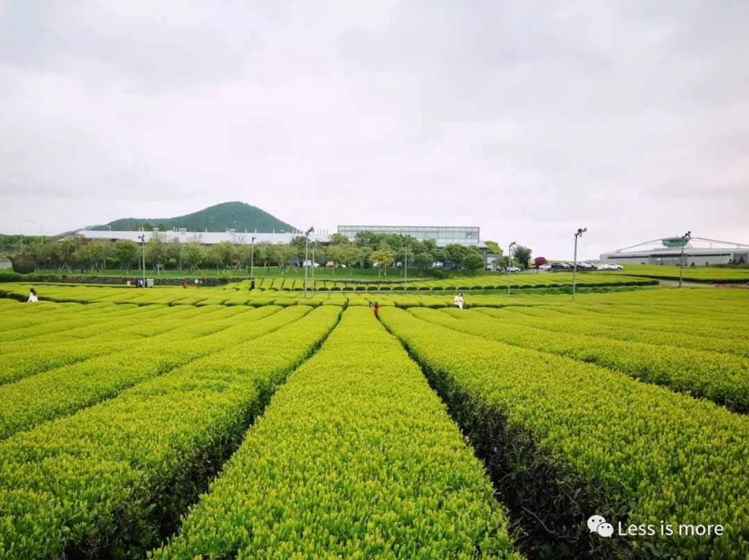 韩国济州岛超详细旅游规划攻略,韩国济州岛攻略自由行