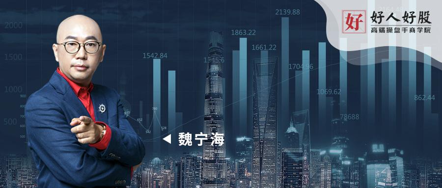 魏宁海鸡肋行情如何应对,魏宁海行不行