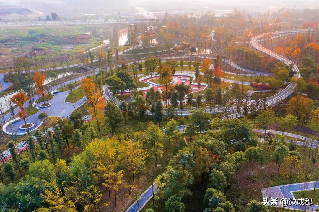 鏂板窛鏉垮潡鍖婚櫌,鍗庤タ鍖婚櫌鏂板窛鏉垮潡寤鸿椤圭洰