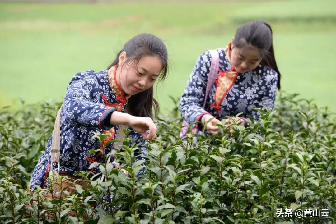 中国最美景区安徽黄山,黄山区甘棠最美乡村
