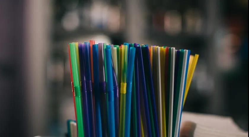 100张荷兰照片世界之最,人间天堂100张图片