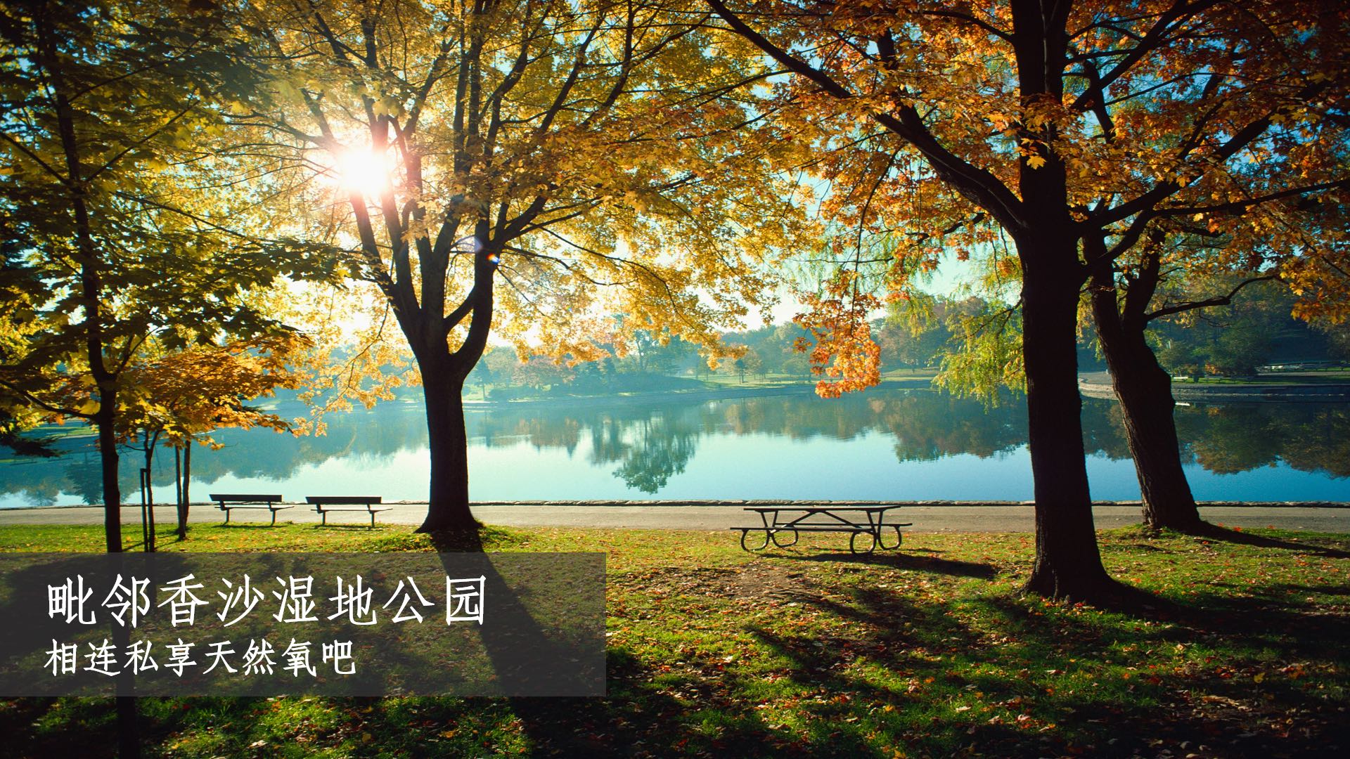 龙岗新楼盘现房出售价格2万左右,龙岗房价4万左右的楼盘