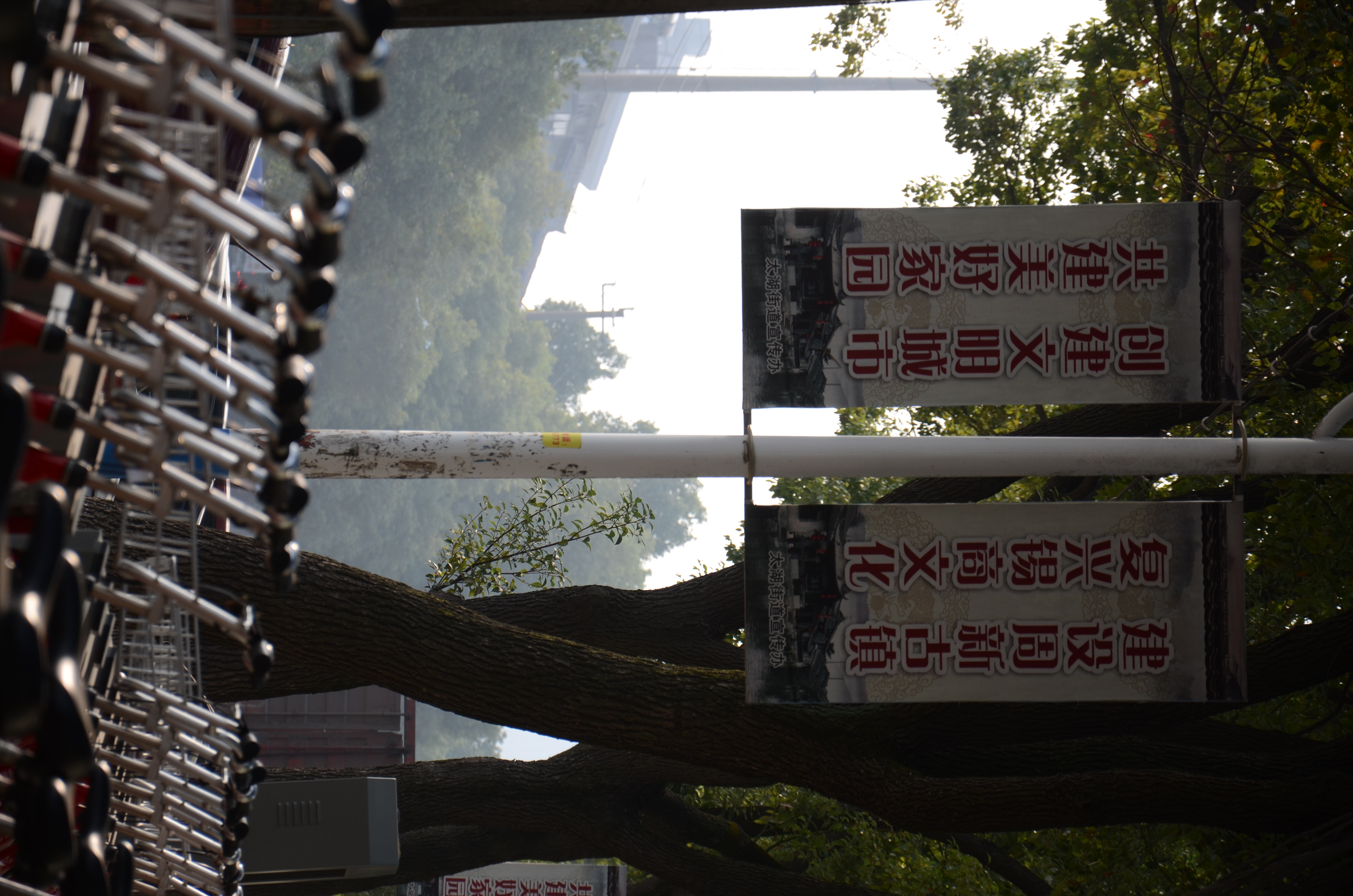 无锡大娄巷名人周舜卿,周舜卿的传奇人生心得