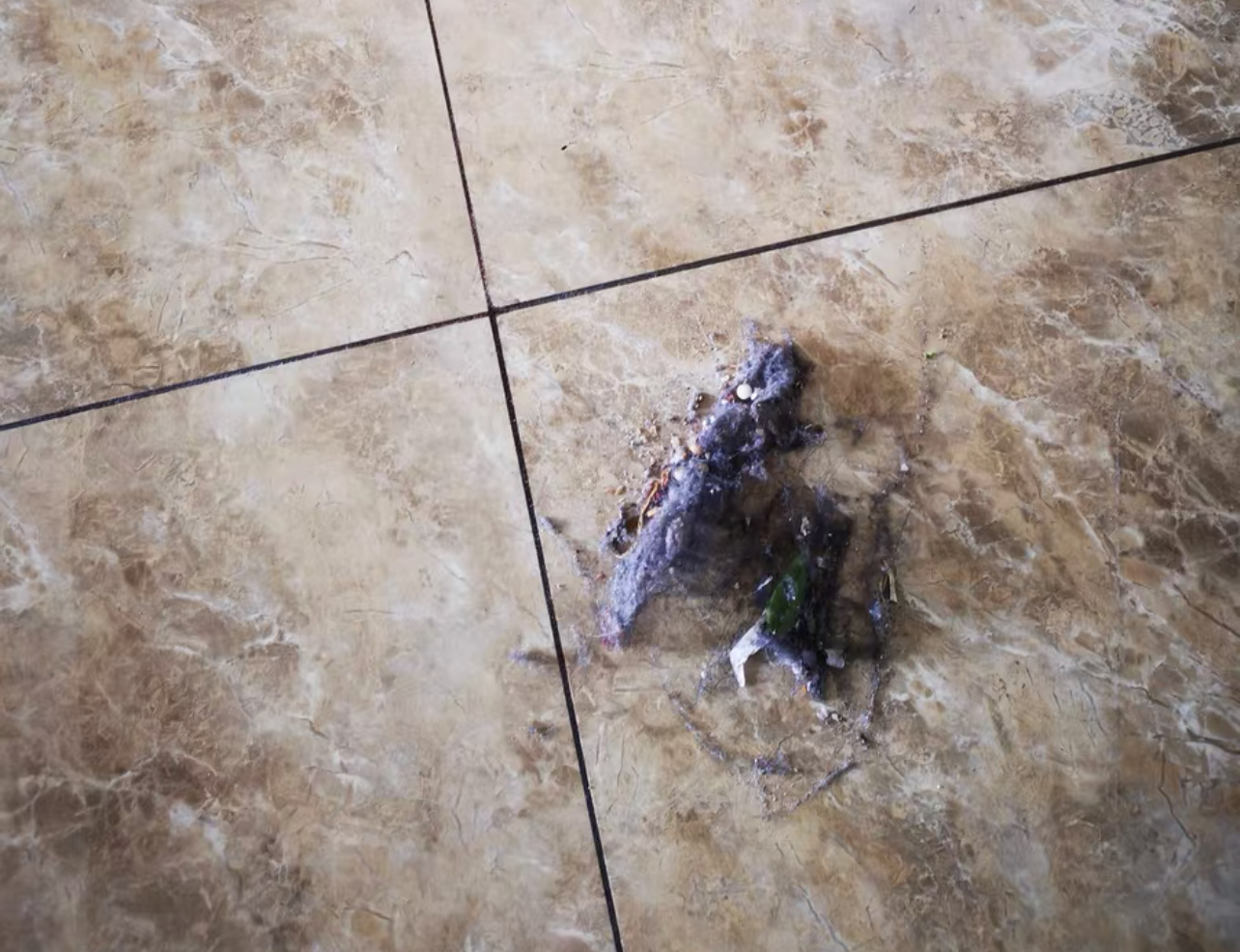 屋里毛毛灰尘很多怎么处理,为什么屋子里灰尘毛絮多