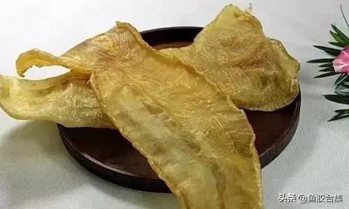 花胶的种类和区别,花胶一共有几种类型的品种