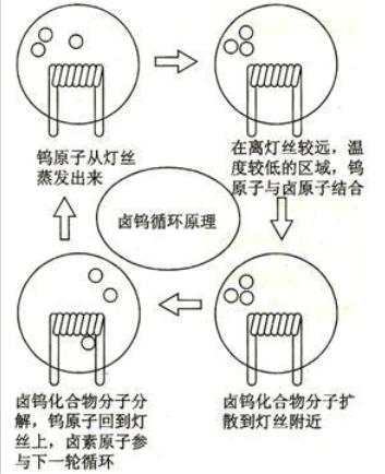 从神话中的火种到光污染，灯的发展经历了什么？
