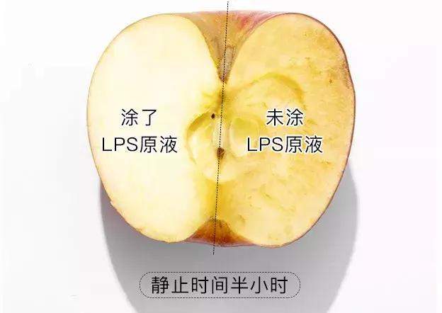 怎样增强皮肤的抵抗力,皮肤没免疫力