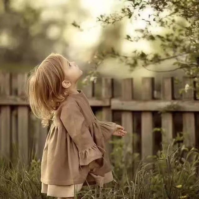 情人节怎样卖花,情人节卖花文案