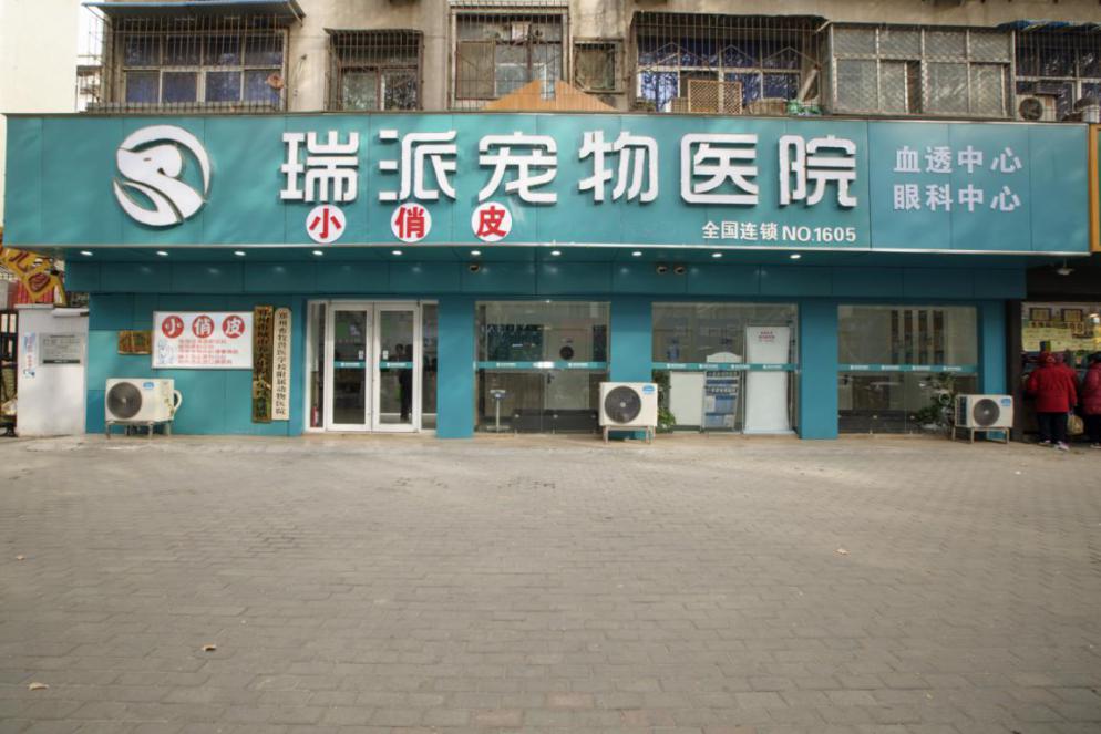 瑞派宠物医院告诉你最牛医院的正确打开方式