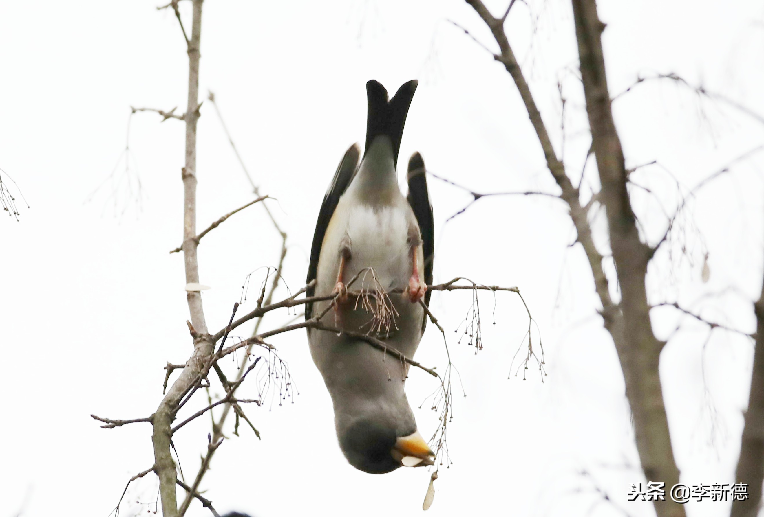 合肥高新区蜀峰湾,合肥市蜀峰湾