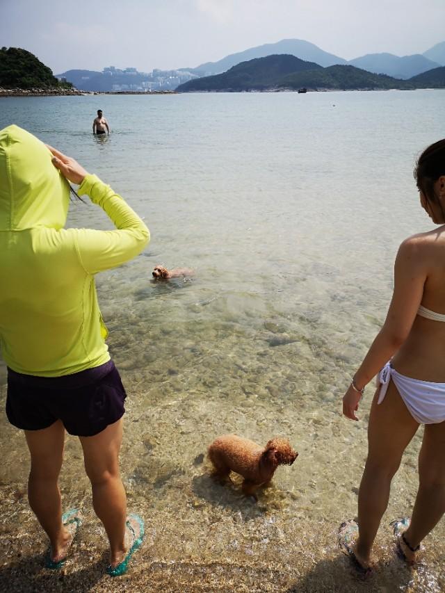香港最后一片净土避世天堂,香港西贡一日游攻略图