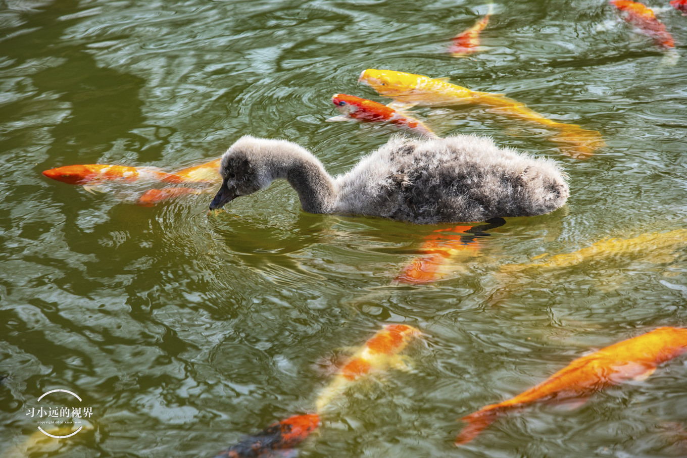 合肥万佛湖二日游攻略,合肥市区旅游攻略一日游