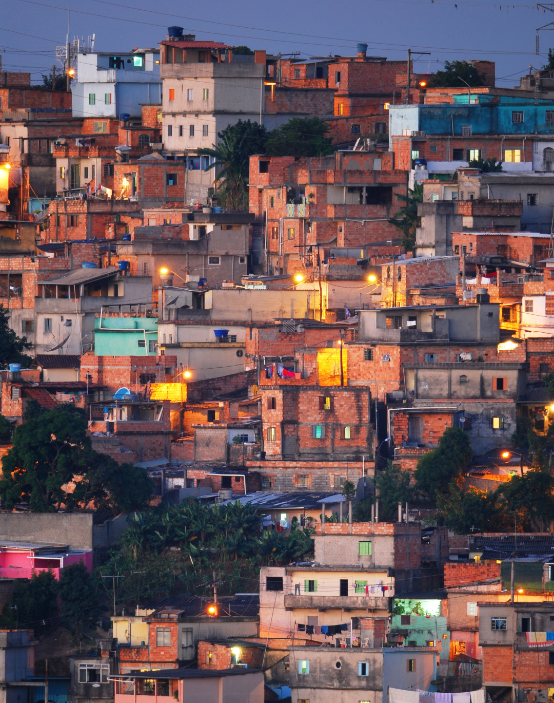 巴西黑帮干掉推巴西选手的人,巴西黑帮系列纪录片