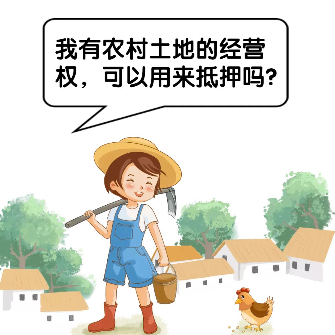 农村的宅基地可以作为抵押贷款,浙江宅基地土地使用权抵押